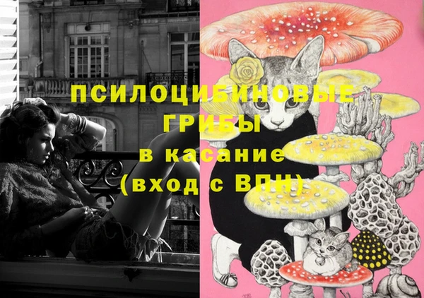 2c-b Балабаново